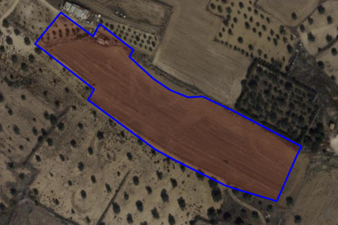 Земельный участок 12403м2 в Агиос Николаос, Пафос, № 40135