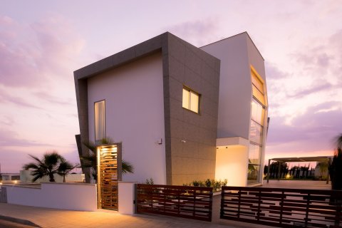 3 bedrooms Villa in Ayia Napa, Ammochostos, No. 42831