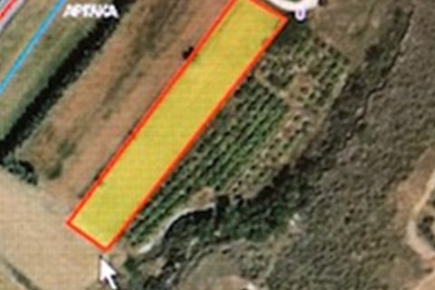 4683m2 Terrain à Polis, Paphos, Chypre No. 25856