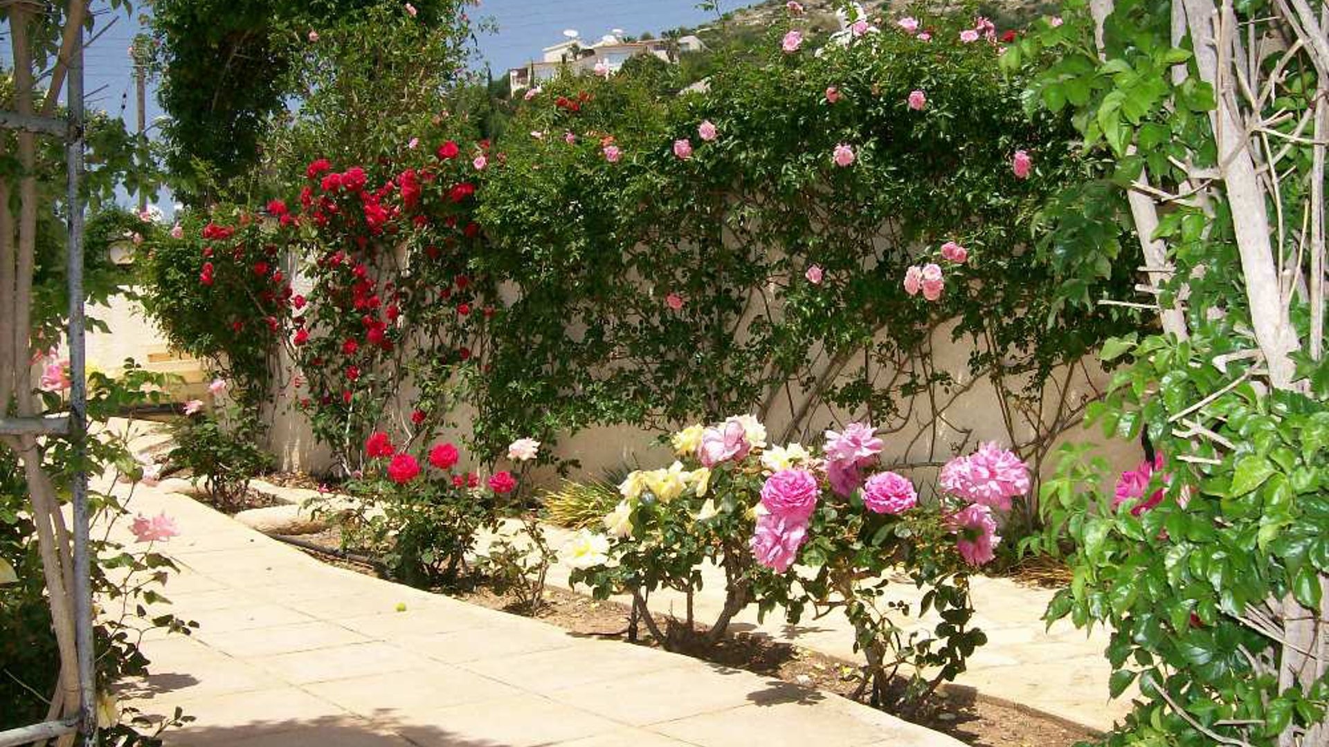 5 bedrooms Villa in Tala, Paphos, Cyprus No. 25858