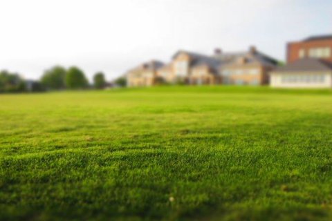 3685m2 Terrain à Prodromos, Nicosia, Chypre No. 28207