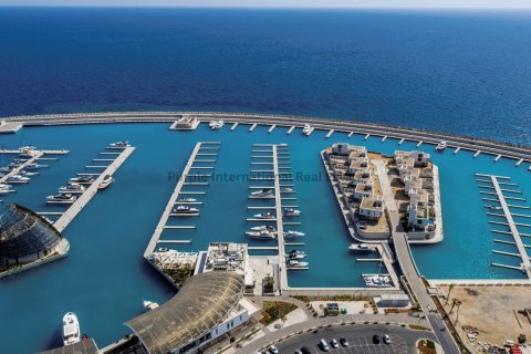 Квартира с 2 спальнями в Айя Напа, Аммохостос, № 40686 28