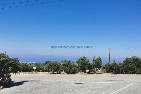 5 bedrooms Villa in Tala, Paphos,  No. 40687 4