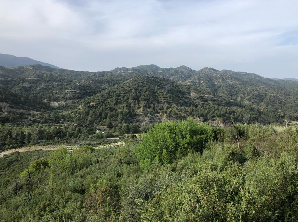 Land in Agios Mamas, Limassol, Cyprus No. 54070