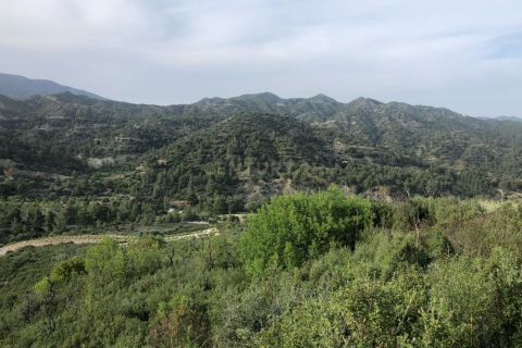 Terrain à Agios Mamas, Limassol,  No. 54070 2