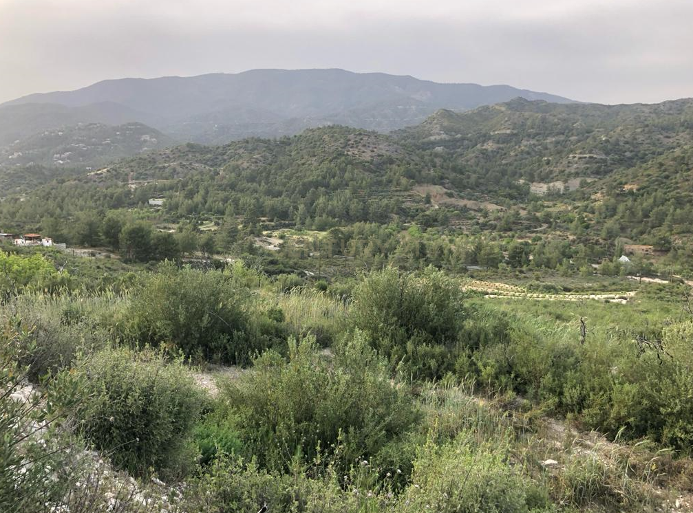 Land in Agios Mamas, Limassol, Cyprus No. 54070