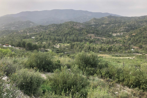 Terrain à Agios Mamas, Limassol,  No. 54070 3