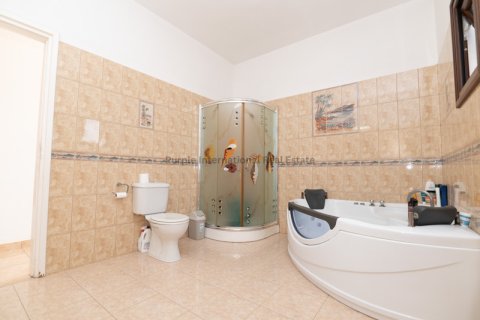 Вилла с 4 спальнями в Френарос, Аммохостос, № 51148 17