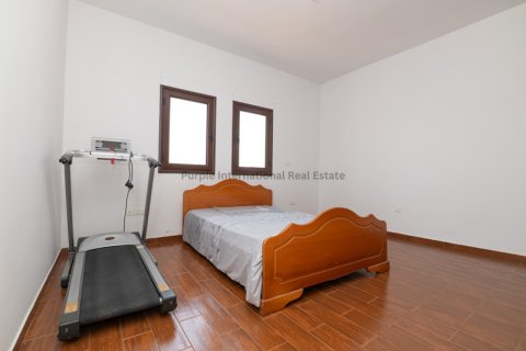 Вилла с 4 спальнями в Френарос, Аммохостос, № 51148 21