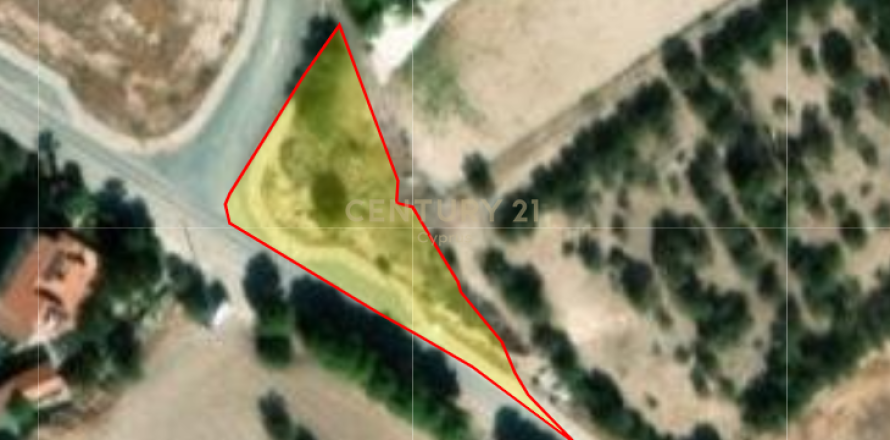 Land in Kalavasos, Larnaka,  No. 54315