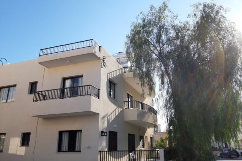 18 bedrooms Hotel in Paphos, No. 38921 7