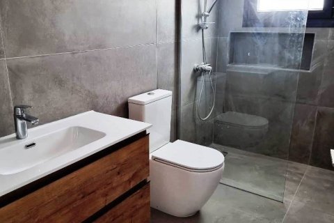 3 bedrooms Townhouse in Tseri, Nicosia,  No. 39797 14