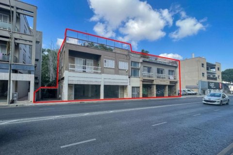 496m2 Commercial property in Nicosia, No. 37947 13