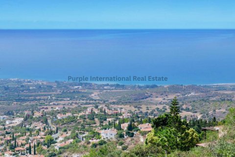 4 bedrooms Villa in Tala, Paphos, No. 37616 6