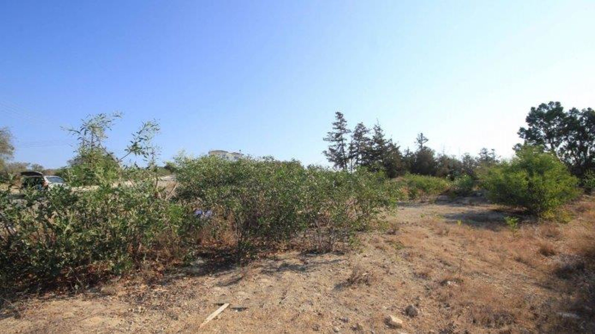 9000m2 Land in Anarita, Paphos, Cyprus No. 25464