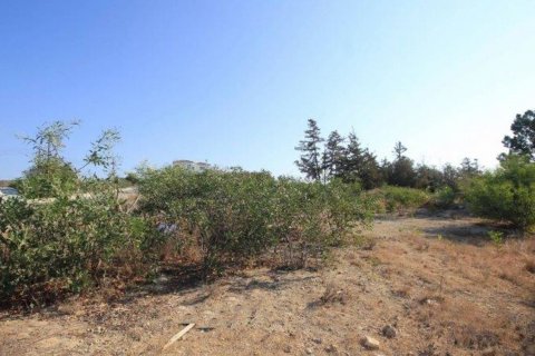 9000m2 Land in Anarita, Paphos, Cyprus No. 25464