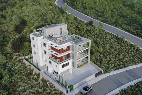 Квартира с 2 спальнями в Пафос,  № 41295 13