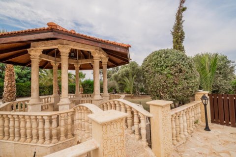 Вилла с 4 спальнями в Пафос,  № 38551 13