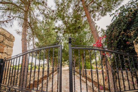 Вилла с 4 спальнями в Пафос,  № 38551 14