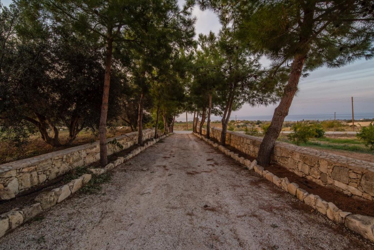 4 bedrooms Villa in Paphos, Cyprus No. 38551