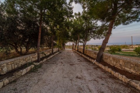 Вилла с 4 спальнями в Пафос,  № 38551 15