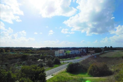 Estudio Villa en Paphos,  No. 38545 11