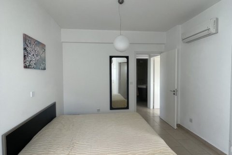 Квартира с 22 спальнями в Пафос,  № 53344 5