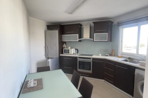 Квартира с 22 спальнями в Пафос,  № 53344 10