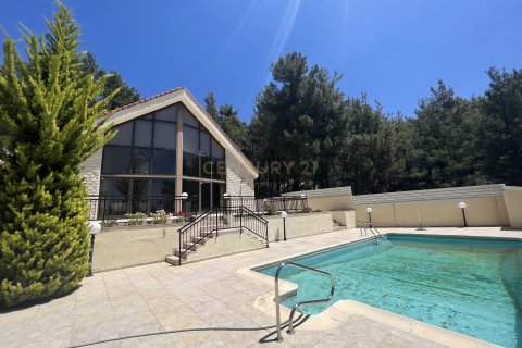 4 chambres Villa à Pano Platres, Limassol, No. 33176 13