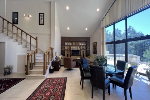 4 chambres Villa à Pano Platres, Limassol, No. 33176 3