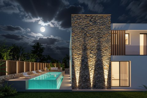 4 chambres Villa à Chloraka, Paphos,  No. 52258 8