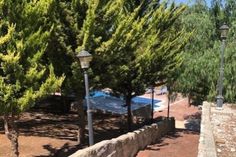 4 dormitorios Villa en Pissouri, Limassol,  No. 55707 8