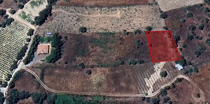 Land in Laneia, Limassol, No. 56641