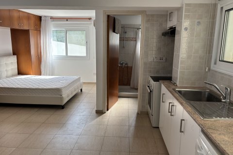 Квартира с 3 спальнями в Героскипу, Пафос,  № 46828 17