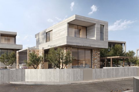 3 chambres Villa à Sea Caves, Pegeia, Paphos,  No. 52560 16