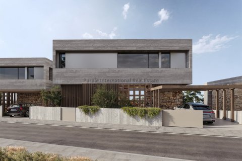 4 chambres Villa à Sea Caves, Pegeia, Paphos,  No. 52562 11