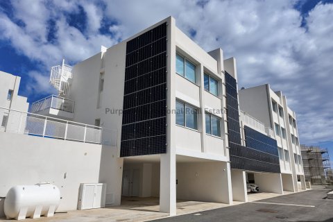 Квартира с 2 спальнями в Паралимни, Аммохостос, № 51229 3