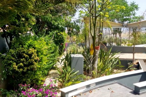 Вилла с 4 спальнями в Лимассол, Лимасол, № 38576 8