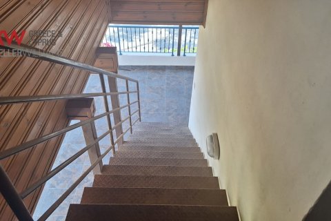 4 bedrooms Townhouse in Meneou, Larnaka,  No. 40431 24