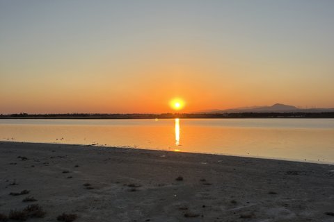 2 bedrooms Townhouse in Meneou, Larnaka,  No. 40220 17