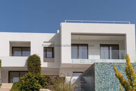 5 dormitorios Villa en Pegeia, Paphos,  No. 53108 13