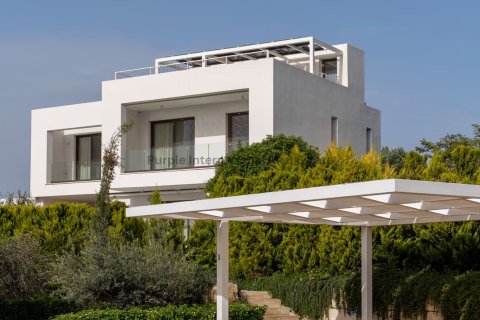 5 dormitorios Villa en Pegeia, Paphos,  No. 53108 11