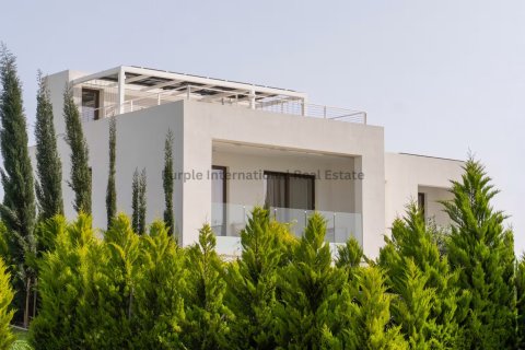 5 dormitorios Villa en Pegeia, Paphos,  No. 53108 10