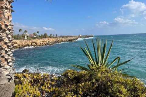 4 bedrooms Villa in Paphos,  No. 46458