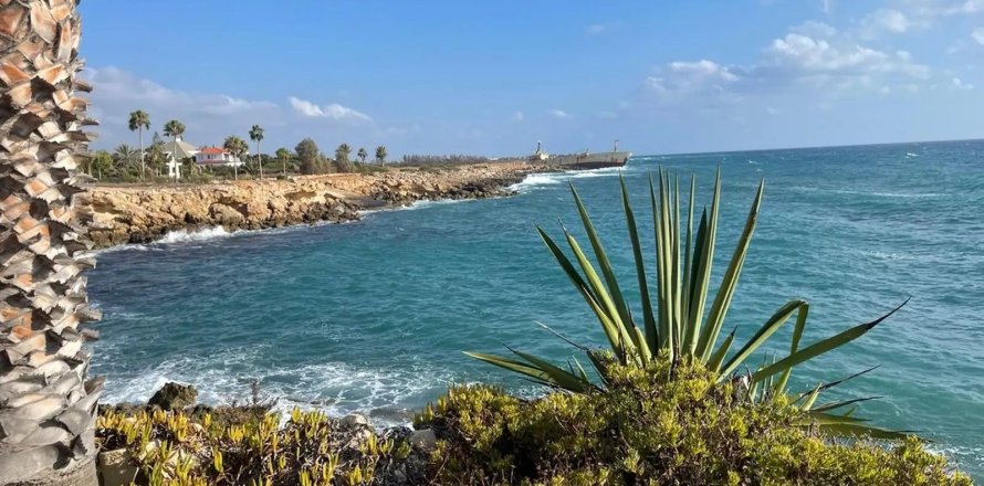 4 bedrooms Villa in Paphos, No. 46458