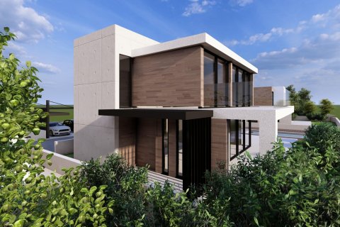 4 bedrooms Villa in Pegeia, Paphos,  No. 46459 12