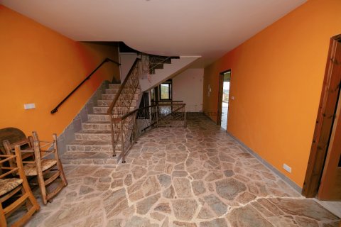 5 bedrooms Villa in Pera Pedi, Limassol,  No. 37715 4