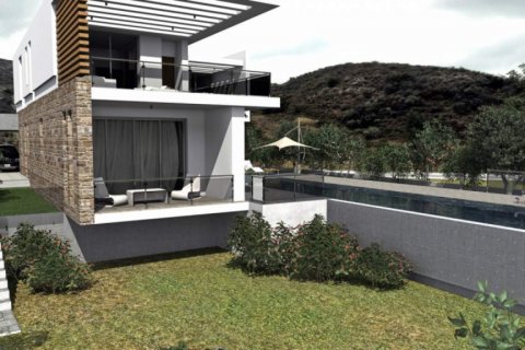 Вилла с 4 комнатами в Пафос,  № 38011 3