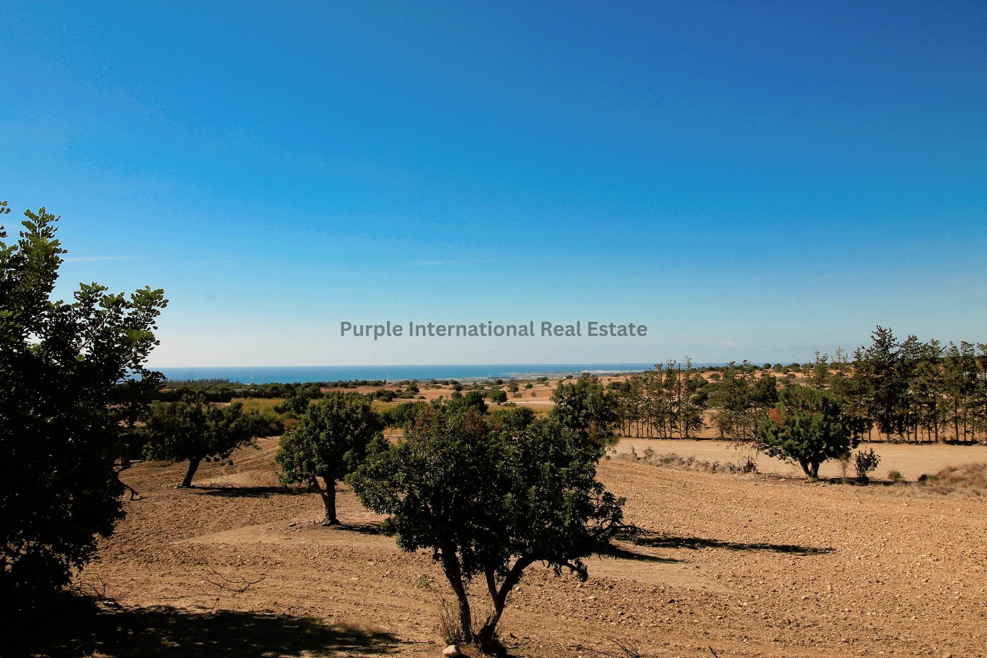7 chambres Villa à Kouklia, Paphos, Chypre No. 7825