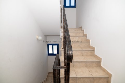 5 bedrooms Villa in Paralimni, Ammochostos,  No. 7610 18